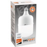 Лампа светодиодная высокой мощности JAZZWAY PLED-HP-T120 40W E27/E40 4000K 1038937A