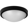 Пылевлагозащищенный светильник JAZZWAY PBH - PC- RA 18W 4000K BLACK IP65 5048416