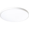 Светильник светодиодный декоративный JAZZWAY 5060920 PPB OPAL 48Вт 6500К WH d370X55 IP20 настенно-потолочный бытовой