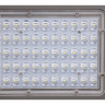 Светильник светодиодный уличный JAZZWAY PSL 02 50W 5000K GR IP65 5005785